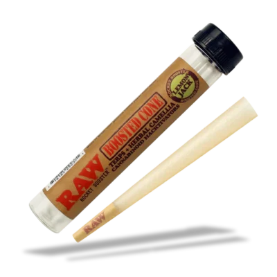 raw rocket booster cones cones esd official 29388958761098 600x